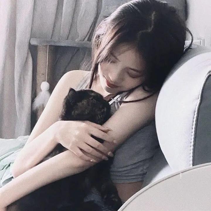 猫和老鼠：飙风天王